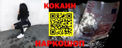 СК Новодвинск
