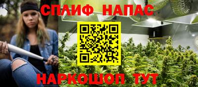 сатива Новозыбков