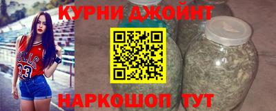 сатива Новозыбков