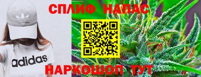 СК Новодвинск