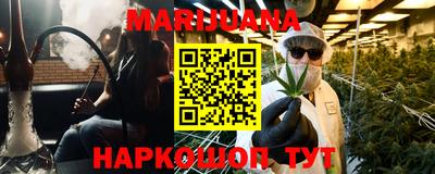 сатива Новозыбков