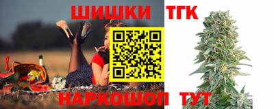 сатива Новозыбков