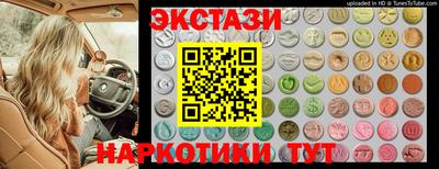 СК Новодвинск