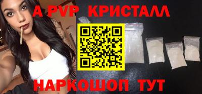 СК Новодвинск