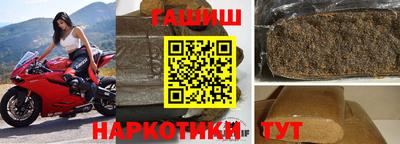 СК Новодвинск