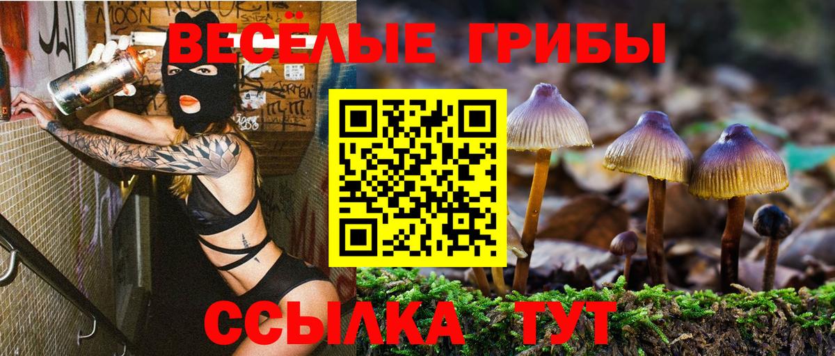 Галлюциногенные грибы прущие грибы Уварово